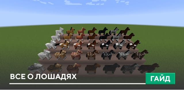 Как приручить лошадь? Полный гайд Minecraft PE