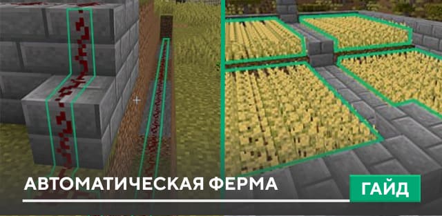 Гайд: Автоматическая ферма на Minecraft PE