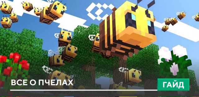 Гайд: Все о Пчелах на Minecraft PE