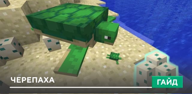 Черепаха [Моб] на Minecraft PE