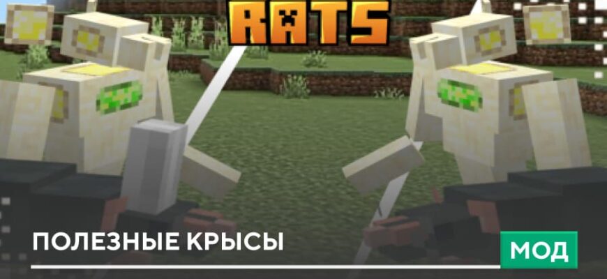 Мод: Полезные Крысы на Minecraft PE