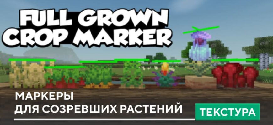 Текстуры: Маркеры для созревших растений на Minecraft PE